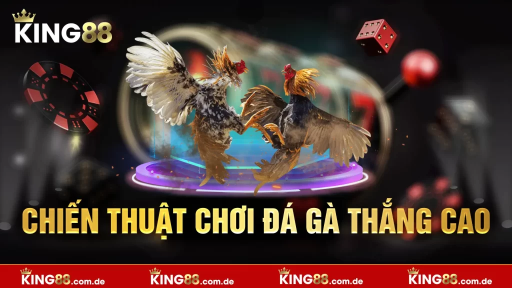 Chiến thuật chơi đá gà thắng cao