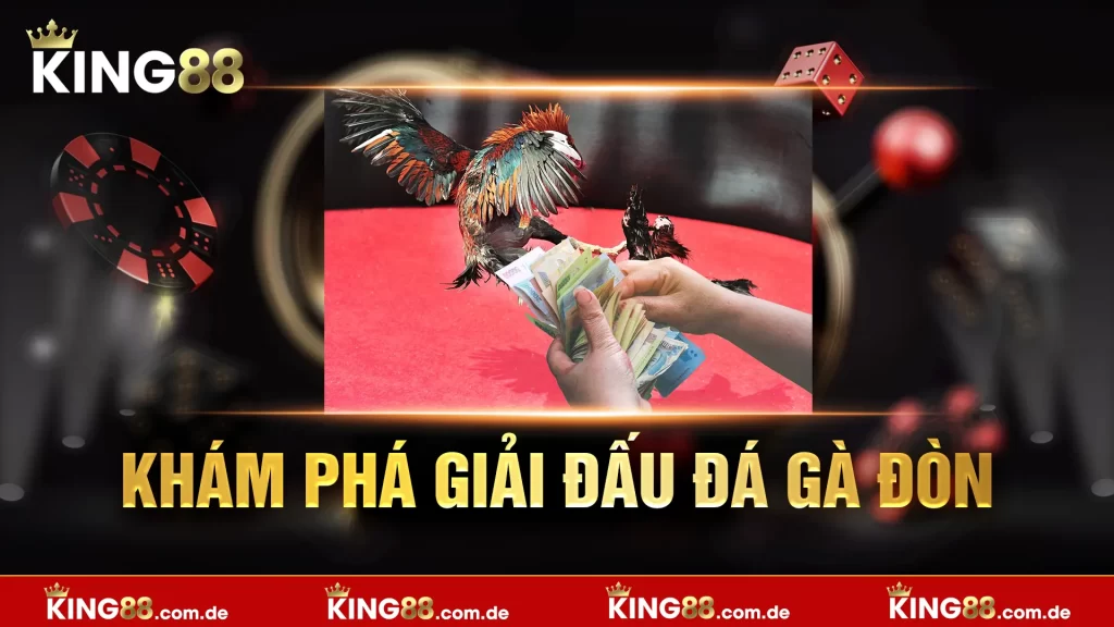 khám phá giải đấu đá gà đòn