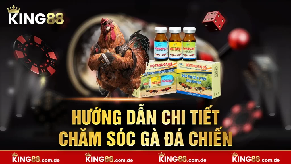 Thuốc hiệu quả cho gà đá bị bệnh