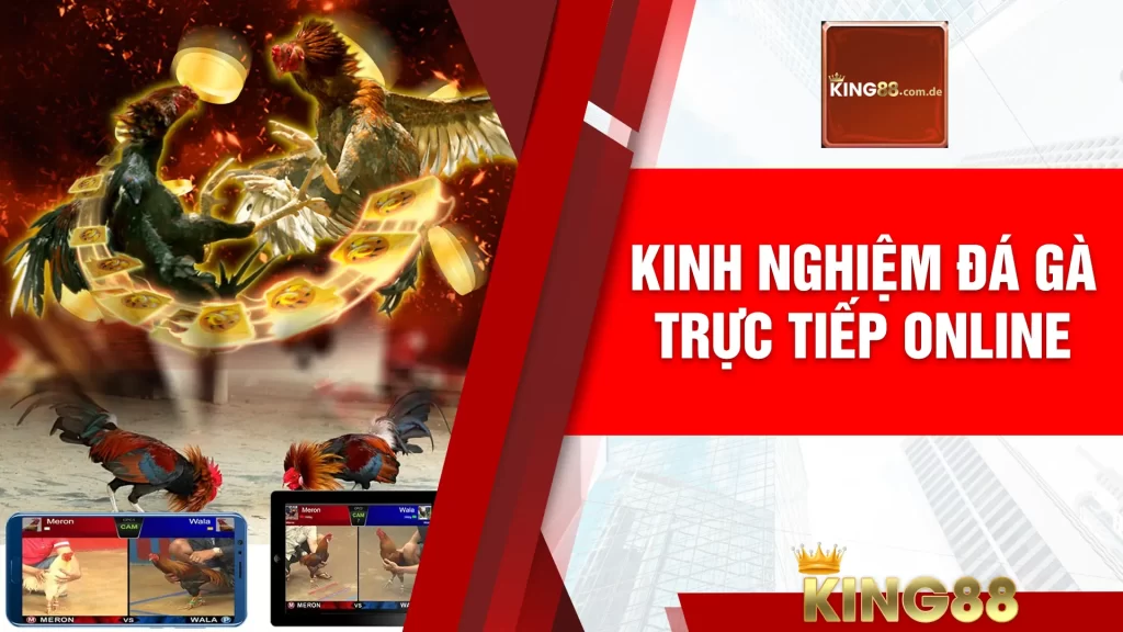 kinh nghiệm đá gà trực tiếp online